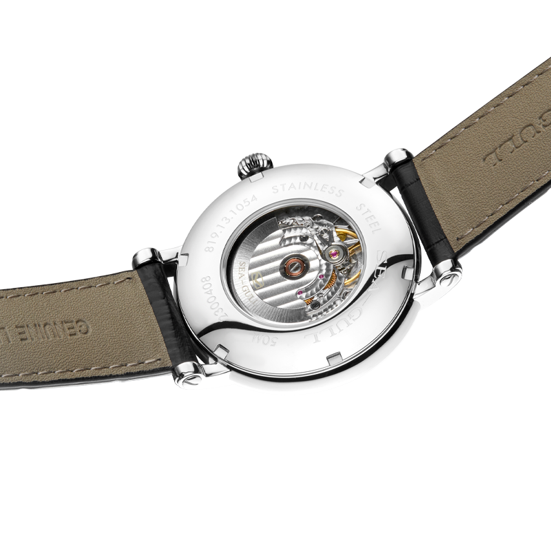 Seagull Men Mechanical Watch A - Seiko Watch Presage recension och pris